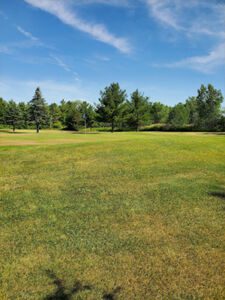 Cardinal Creek Golf Course