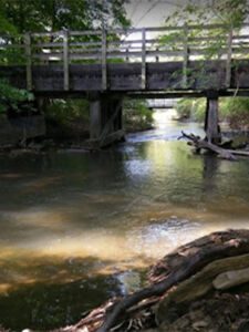 Dinosaur Hill Nature Preserve