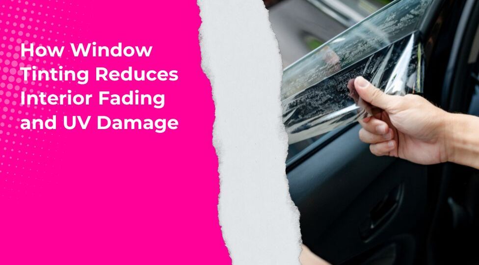 Paint Protection Film (1)